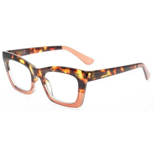 Plastic Reading Glasses